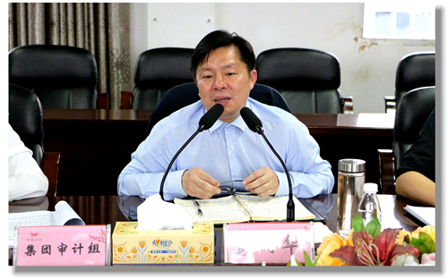 集團(tuán)黨委委員、紀(jì)委書記彭向華強(qiáng)調(diào)審計整改工作要深挖思想根源(圖2)