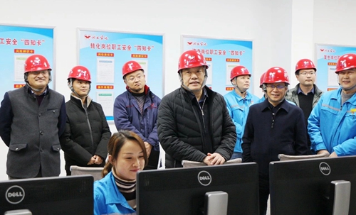 袁衛(wèi)東到股份、楚星和新項目現(xiàn)場調(diào)研(圖6)