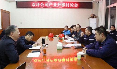 王大真到雙環(huán)公司現(xiàn)場(chǎng)調(diào)研(圖2) 王大真到雙環(huán)公司現(xiàn)場(chǎng)調(diào)研(圖2)