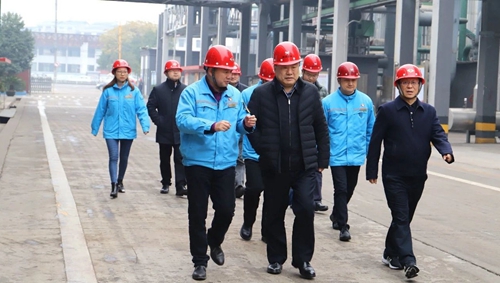 袁衛(wèi)東到股份、楚星和新項(xiàng)目現(xiàn)場調(diào)研